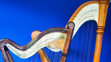 undefinedTwo harps donated to the Clarsach Society by Catherine Dunlop and lent to the Scheme in 2018